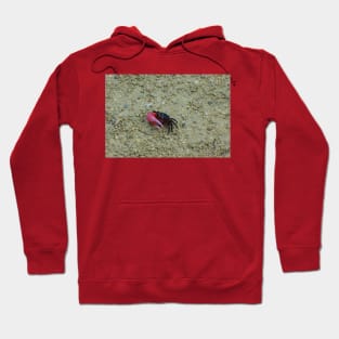 Cute Fiddler Crab Hoodie